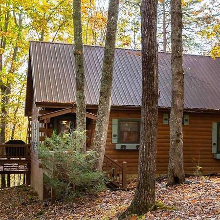 Mountain Time Cabin, Hot Tub, Fire Pit, Fireplace Villa Blue Ridge Luaran gambar