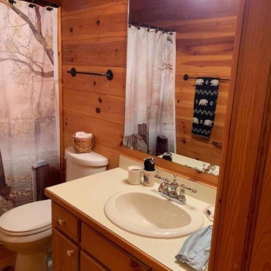 Mountain Time Cabin, Hot Tub, Fire Pit, Fireplace Villa Blue Ridge Luaran gambar